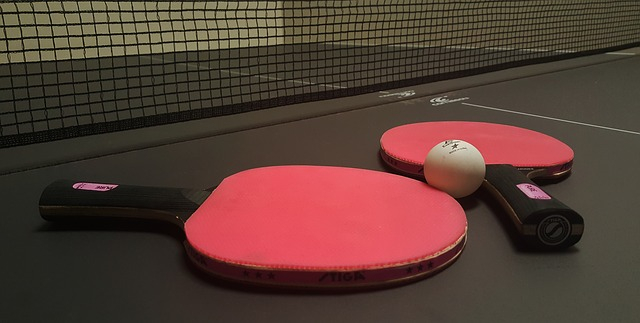 Net, bet, dan bola dalam permainan tenis meja. Foto: Pixabay