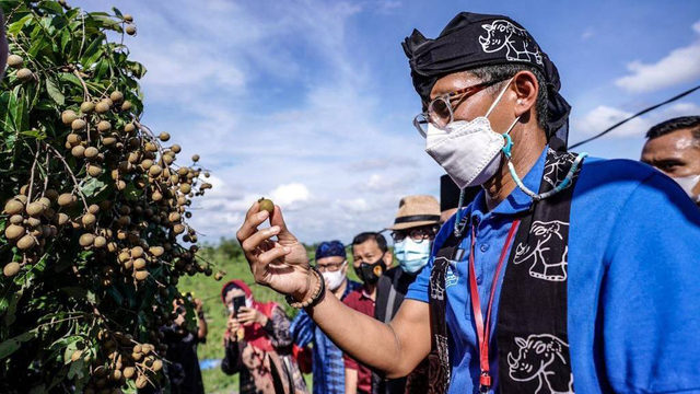 Menparekraf Sandiaga Uno meninjau Kampung Agrinex di Kecamatan Cikeusik, Kabupaten Pandeglang, Banten, Selasa (6/4).  Foto: Kemenparekraf