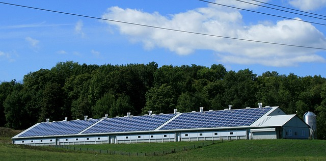 Panel surya adalah salah satu contoh pemanfaatan sumber daya alam untuk manusia. Foto: Pixabay