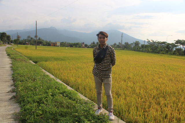 Penampakan lahan pertanian sawah milik warga setempat di Magelang, Jawa Tengah