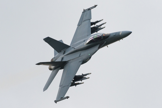 Ilustrasi Pesawat F-18 Super Hornet. Foto: Shutterstock