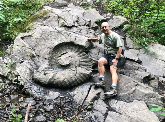 Fosil Ammonite terendapkan pada Batupasir Formasi Moose Mountain,Kanada (Sunber foto: Jon Noad dari tinyurl.com)