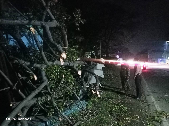 Siinergi TNI Polri danWarga Evakuasi Pohon Tumbang di Jalan Raya Curah Kalak