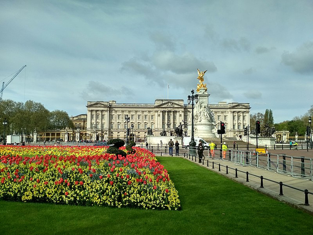 Taman Istana Buckingham, London Foto: Wikimedia Commons