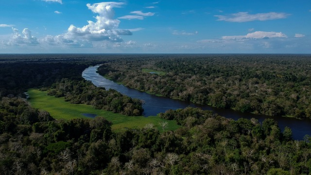 Kisah Seru Pilot Selamat usai Terdampar 38 Hari di Hutan Amazon (31919)