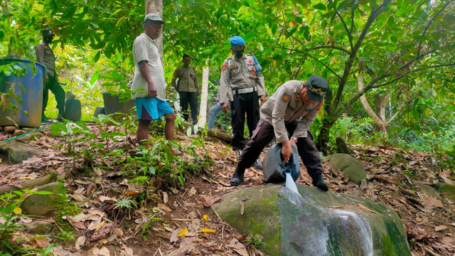 Polisi Bongkar Penyulingan Cap Tikus di Tolitoli, Sulteng (33950)