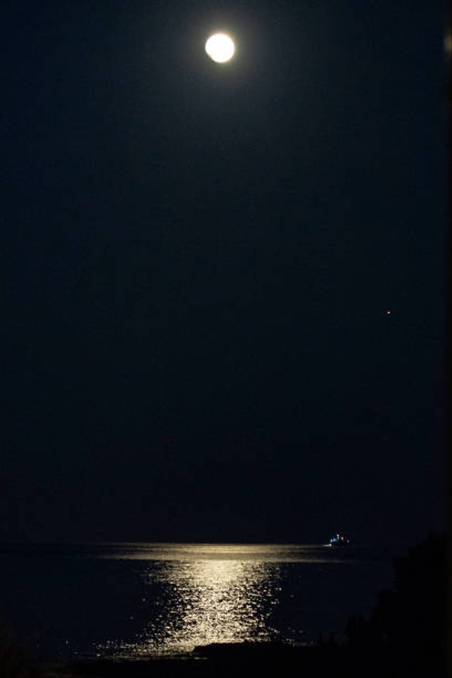 Ilustrasi gerhana bulan total. Foto: Getty Images 