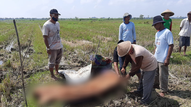 Diduga Serangan Jantung Petani Di Bojonegoro Meninggal Di Sawah Kumparan Com