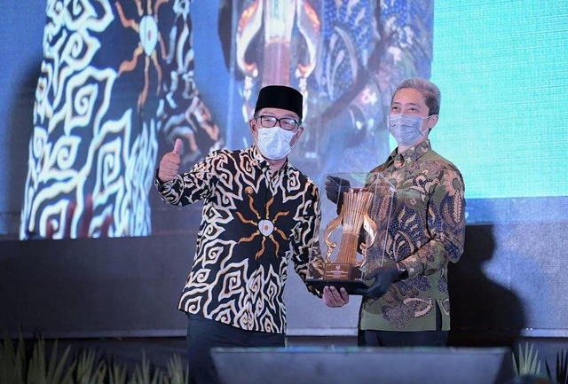 Batik Ironman Karya Ridwan Kamil Laku Keras, Seperti Apa Penampakannya? (132018)