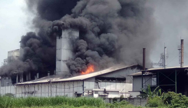 Pabrik Tepung di Kabupaten Mojokerto Terbakar, Warga Dengar Suara Ledakan Keras