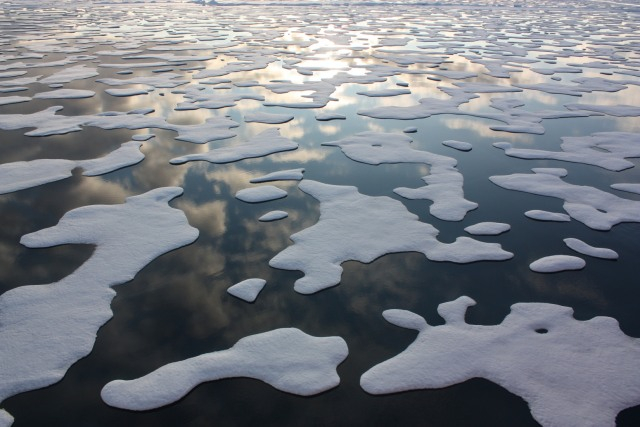 Dampak perubahan iklim salah satunya es dilaut yang mencair. Foto: Kathryn Hansen/Reuters