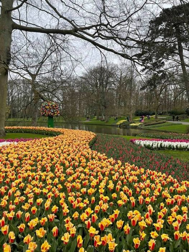 Mengunjungi Keukenhof di Masa Pandemi (1196786)