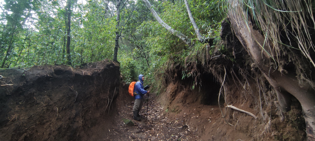 Mengintip Kembali Thekelan, Jalur Pendakian Tertua Merbabu (Bagian 1) (575046)