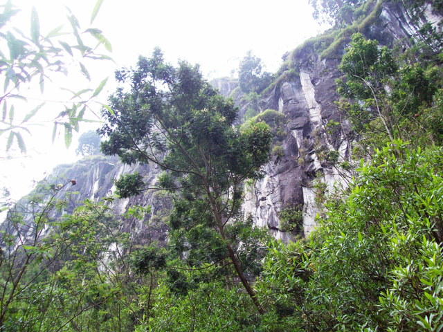 Mengintip Kembali Thekelan, Jalur Pendakian Tertua Merbabu (Bagian 1) (575049)