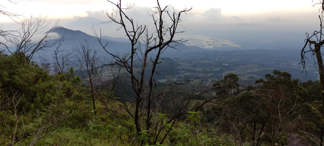 Mengintip Kembali Thekelan, Jalur Pendakian Tertua Merbabu (Bagian 1) (575050)