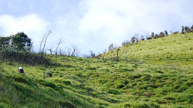 Mengintip Kembali Thekelan, Jalur Pendakian Tertua Merbabu (Bagian 2) (11199)