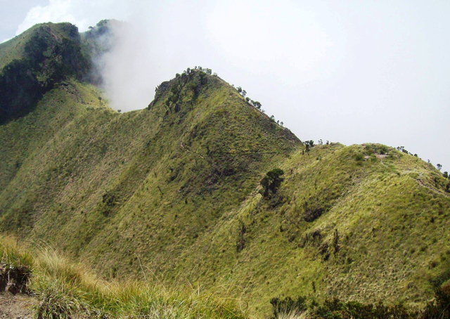 Mengintip Kembali Thekelan, Jalur Pendakian Tertua Merbabu (Bagian 2) (11204)