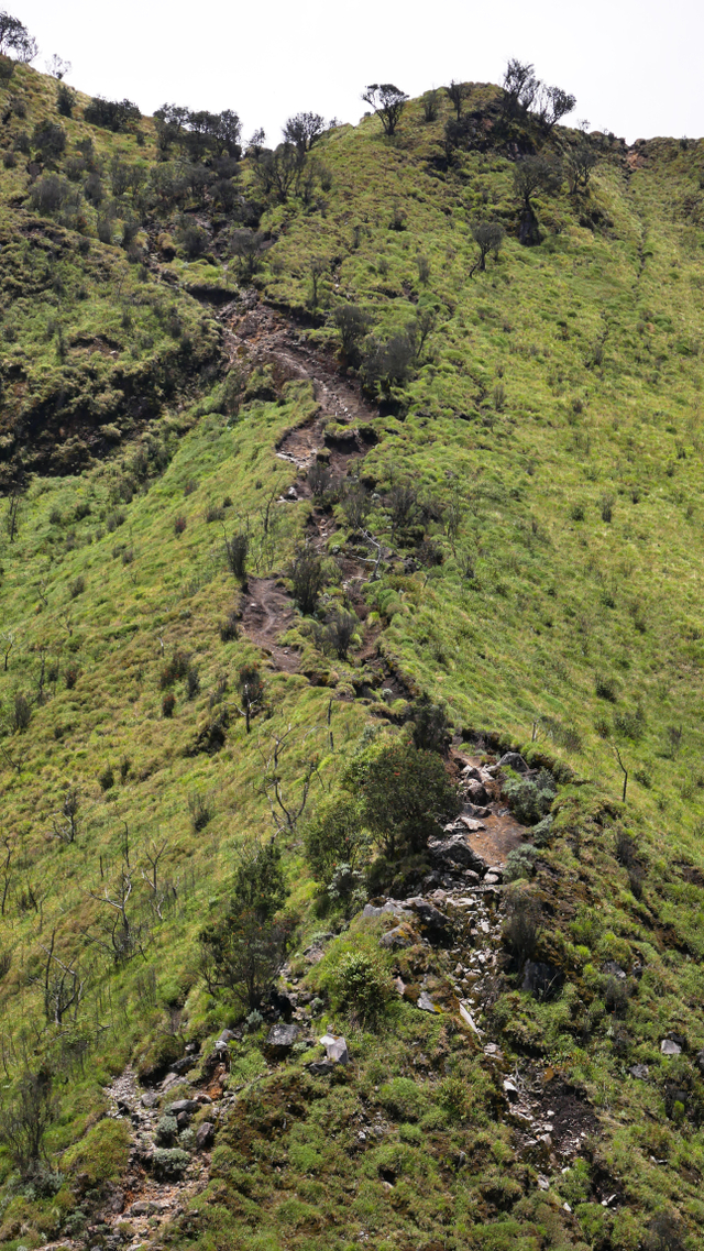 Mengintip Kembali Thekelan, Jalur Pendakian Tertua Merbabu (Bagian 2) (11205)