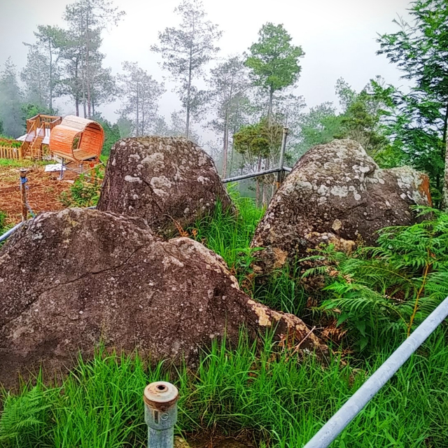 Mengintip Kembali Thekelan, Jalur Pendakian Tertua Merbabu (Bagian 1) (575043)