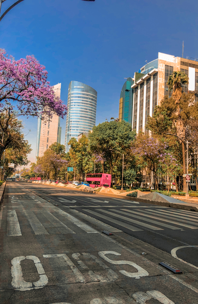 Beberapa Tempat yang Bisa kamu Kunjungi dalam 1 Hari di Mexico City (99069)