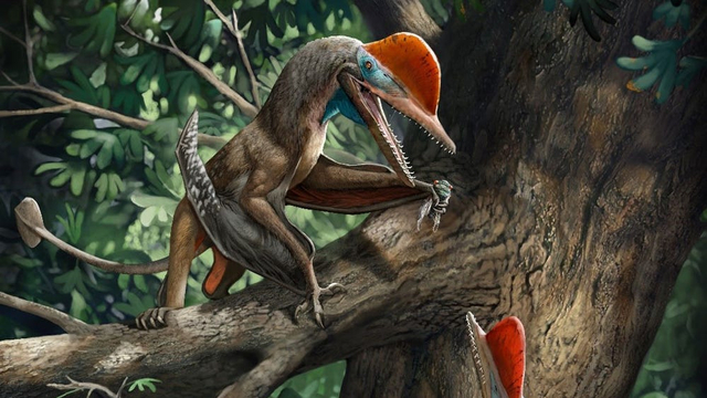 Para peneliti menemukan fosil dinosaurus terbang pertama dengan ibu jari berlawanan yang ditemukan di Liaoning, China. Ia dijuluki Monkeydactyl. Foto: Chuang Zhao / Universitas Birmingham