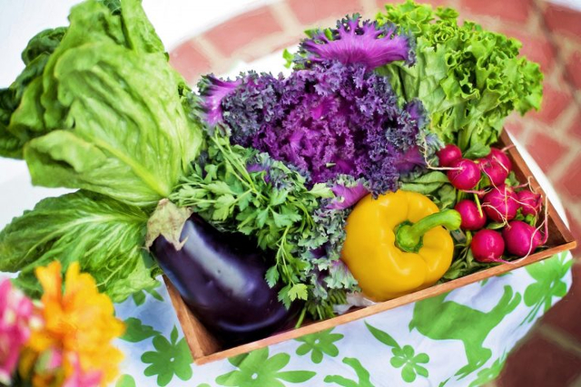 Ilustrasi sayur dan buah-buahan. Ada beberapa hal yang perlu diperhatikan menyimpan makanan di dalam kulkas agar nutrisinya terjaga. Foto: Pixabay