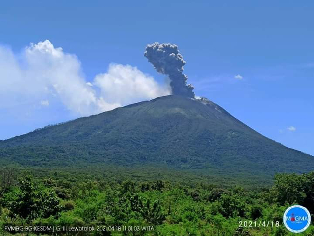 Gunung Ile Lewotolok Kembali Erupsi, Tinggi Kolom Abu Capai 1.500 Meter (181485)