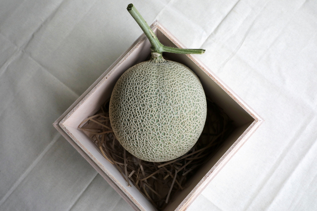 Foto: Petani Malaysia Berhasil Kembangkan Buah Termahal: Melon Jepang (871921)