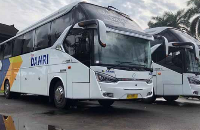 Mobil Bus Damri | Foto: Damri.co.id