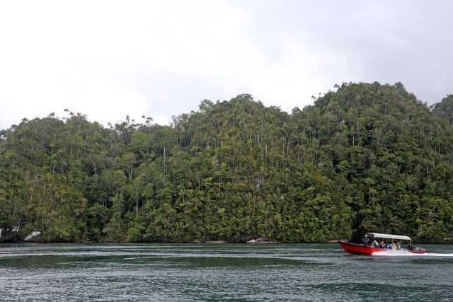 Destinasi Wisata Unik, Pesona Batu Berbentuk Kelamin di Raja Ampat (131575)