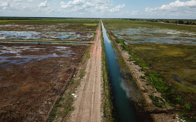 Foto udara jaringan irigasi di kawasan lumbung pangan nasional 'food estate' Dadahup di Kabupaten Kapuas, Desa Bentuk Jaya, Kalimantan Tengah, Rabu (21/4). Foto: Makna Zaezar/Antara Foto