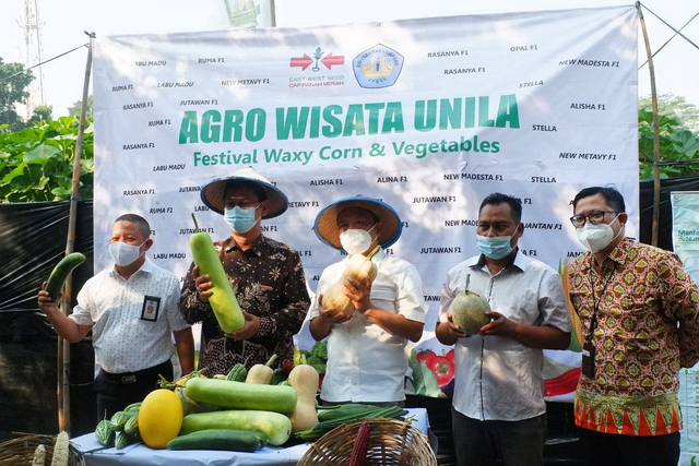 Hari Ini, Agrowisata Melon Unila Resmi Dibuka untuk Masyarakat Umum (333931)