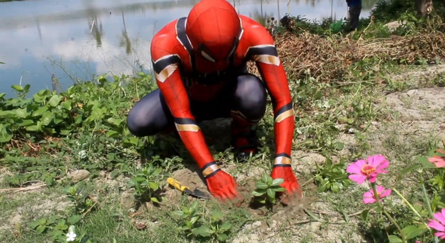 Spiderman di Parepare, bersih-bersih sampah pada Hari Bumi. Foto: Dok. Istimewa