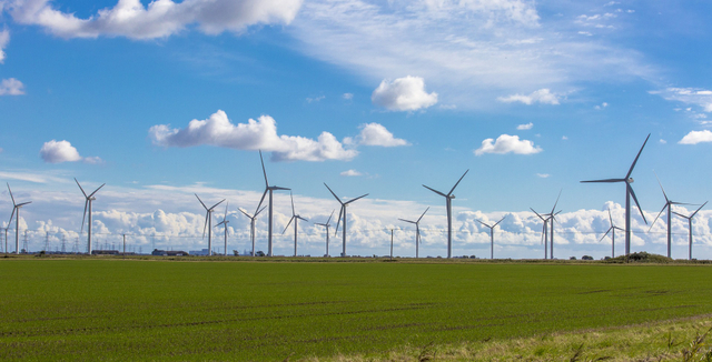 Ilustrasi pembangkit listrik tenaga angin Foto: Pixabay