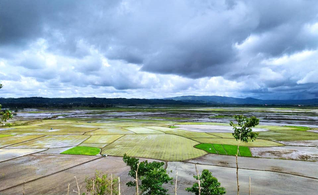 Lokasi FE Sumba Tengah di Desa Makatakiri, Kecamatan Katikutana. Foto: Dokpri