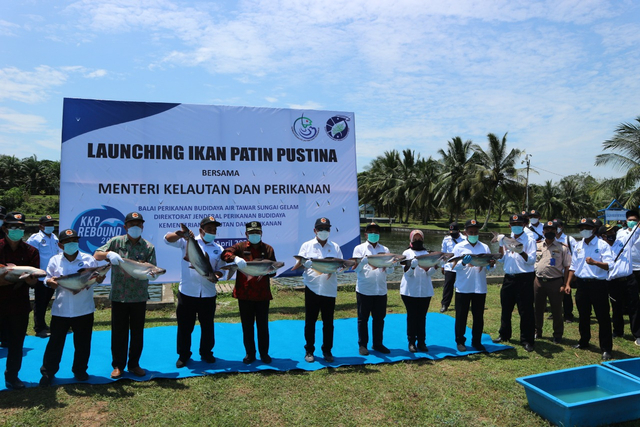 Menteri Perikanan dan Kelautan, Sakti Wahyu Trenggono bersama jajarannya memamerkan ikan patin pustina (Foto: Istimewa)