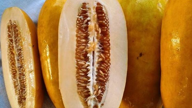 Rekomendasi Buah Lokal untuk Berbuka Puasa Pengganti Kurma (1179972)