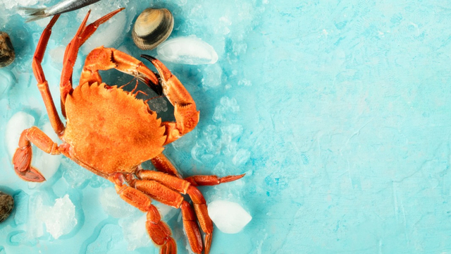 Kepiting untuk makanan bayi, boleh atau tidak? Foto: Shutterstock