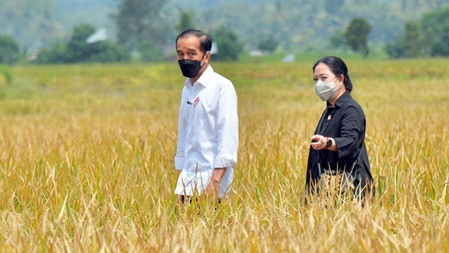 Presiden Jokowi meninjau lokasi tanam dan panen di desa Kanigoro, Kec Tumpang, Kab Malang. Kamis (29/4). Foto: Dok. Biro Pers Setpres