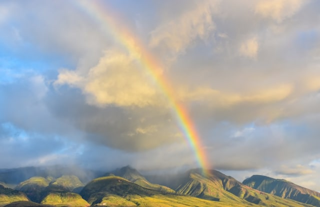 Ilustrasi pelangi. Foto: Unsplash