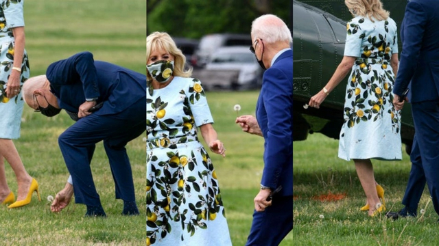 Foto Romantis Presiden AS Joe Biden Petik Bunga Liar untuk Istrinya. Foto: Getty Images
