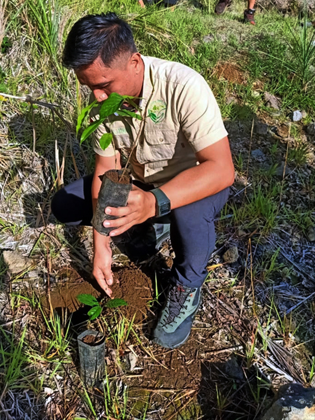 Brivy Cliff Lotulung menanam bibit pohon di Gunung Soputan yang ada di Kabupaten Minahasa