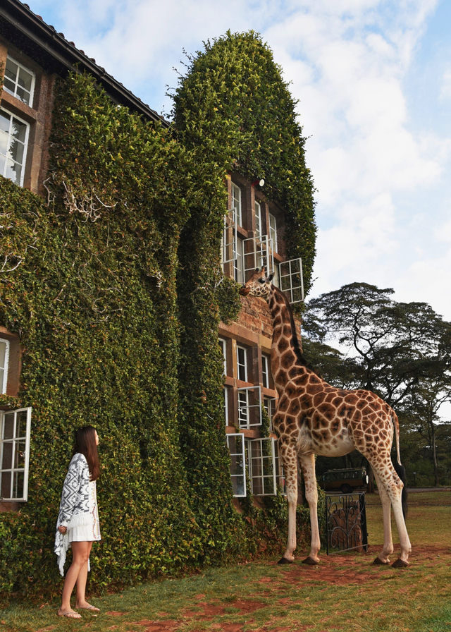 Hotel unik di Kenya yang tawarkan sensasi menginap bareng jerapah. Foto: Shutterstock