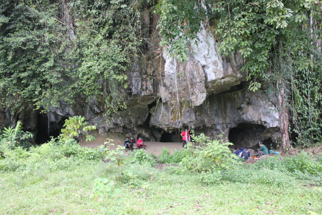 Bukit karst yang ada di sekitar Desa Napal Melintang, Kecamatan Limun, Kabupaten Sarolangun. (Foto: Istimewa)