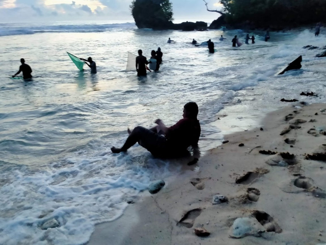 Mencari laor di Pulau Morotai, Maluku Utara.