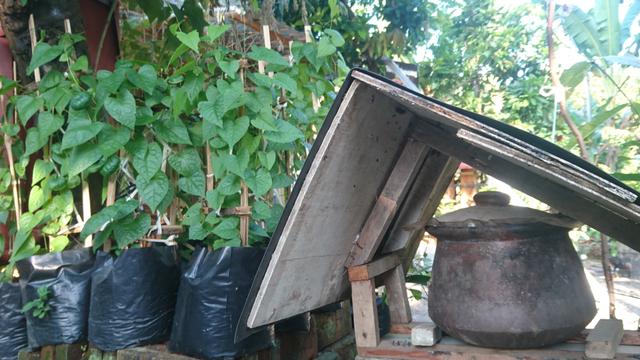 Budidaya Madu Klanceng, Bisnis yang Mengandalkan Keanekaragaman Tanaman Bunga (205637)