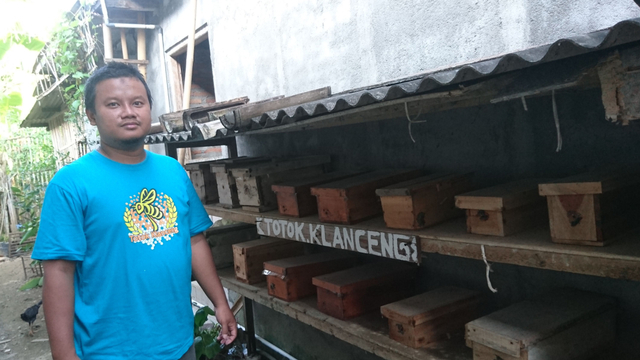 Budidaya Madu Klanceng, Bisnis yang Mengandalkan Keanekaragaman Tanaman Bunga (205638)