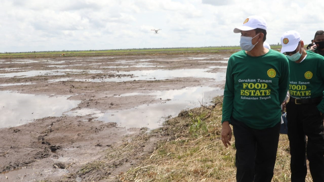 Pihak Kementan meninjau gerakan percepatan tanam padi di lokasi Food Estate Kalimantan Tengah, Selasa (4/5).  Foto: Kementan RI