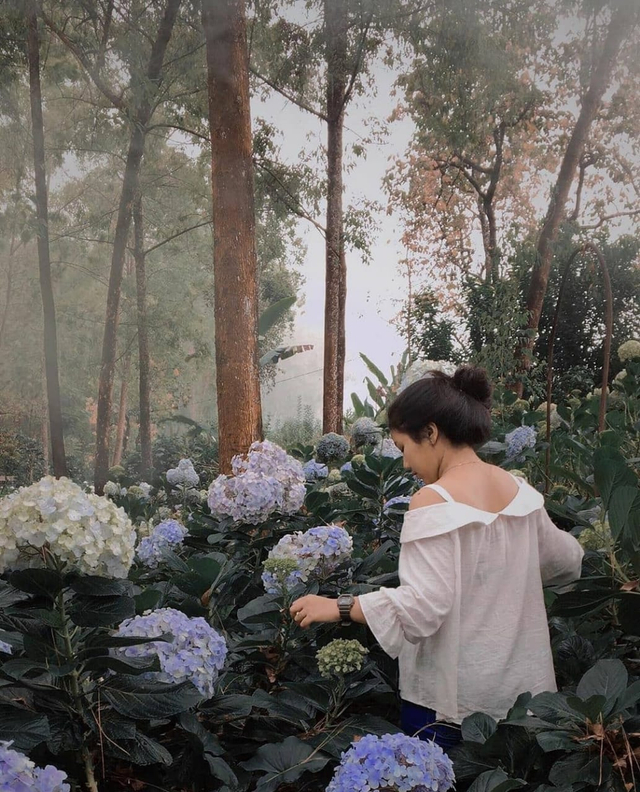Sejenak Melepas Penat di Coban Talun! (413441)