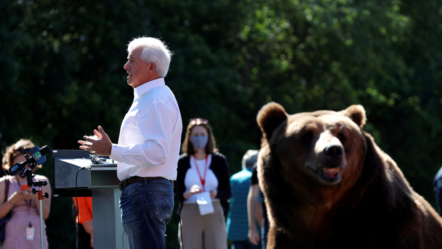 Calon Gubernur California AS, John Cox, membawa beruang hidup pada kampanye pemilu negara bagian California, di Sacramento, California. Foto: Justin Sullivan/Getty Images